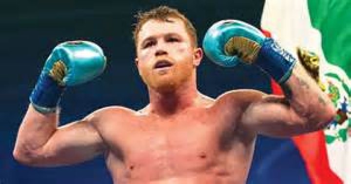 Canelo Alvarez's Skin Tone Demystified