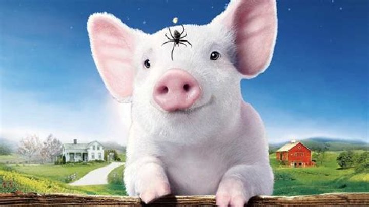 Unveiling The Magic Of Pigs In Movies: Discoveries And Insights